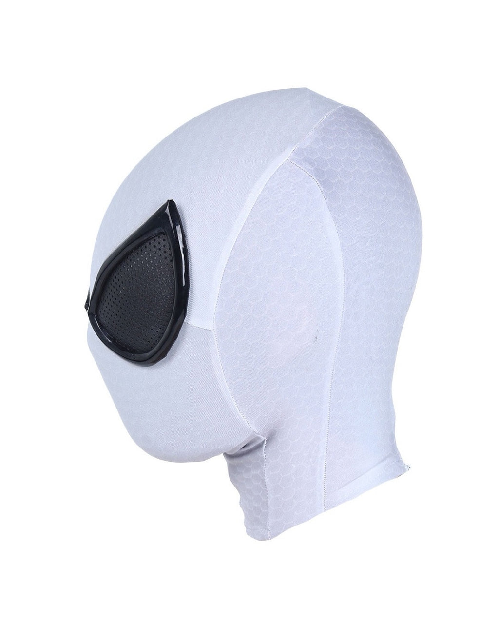 Spider-Man Future Foundation Hood